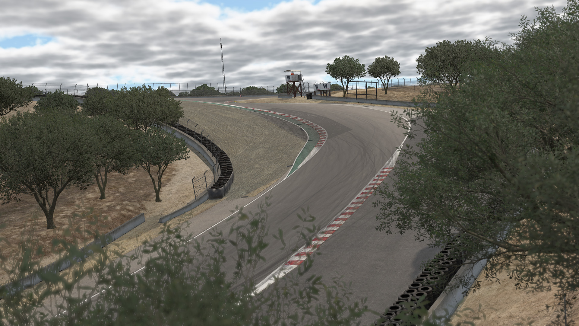 WeatherTech Raceway at Laguna Seca circuit view 5
