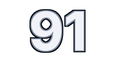 Driver number 91