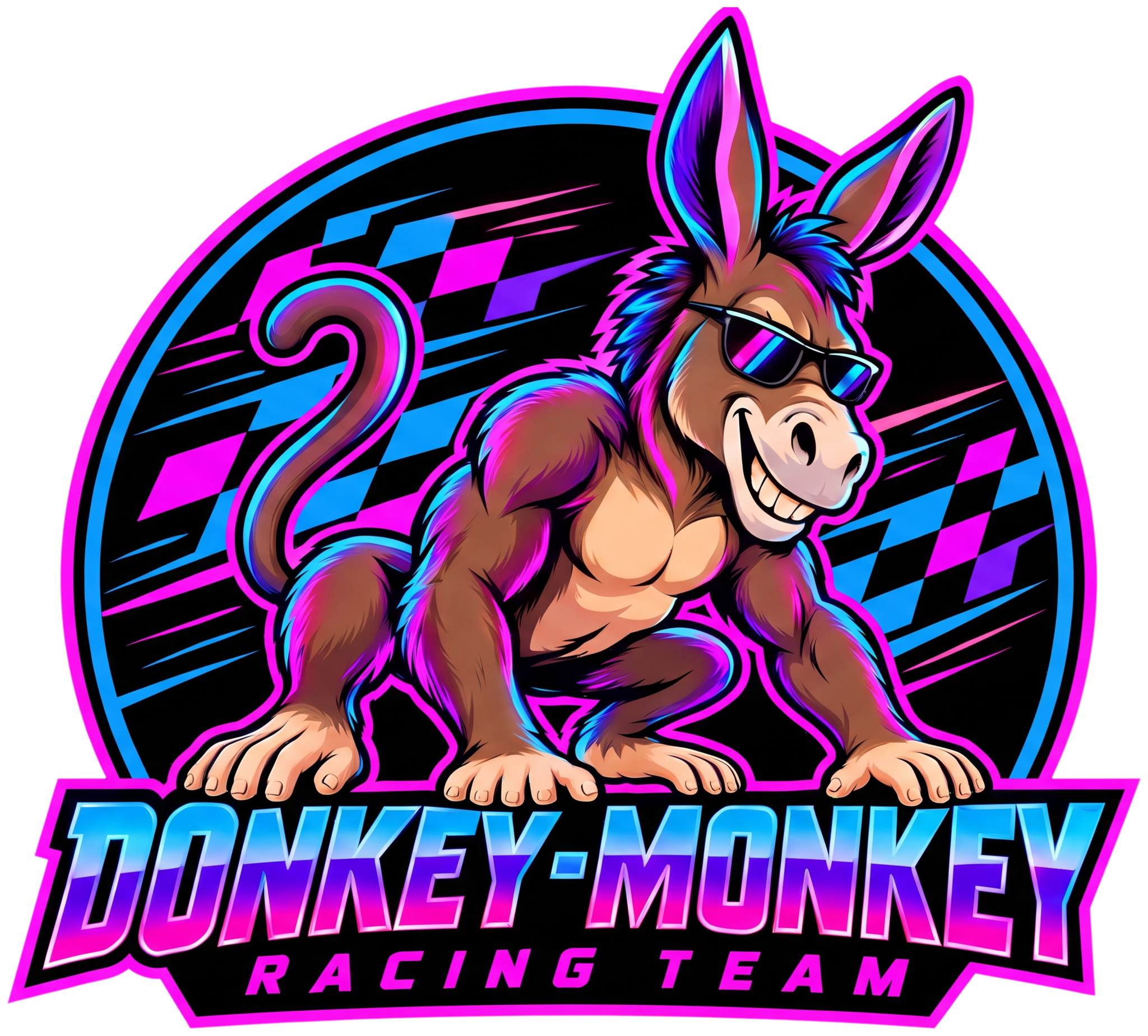 DONKEY-MONKEY Racing Team logo